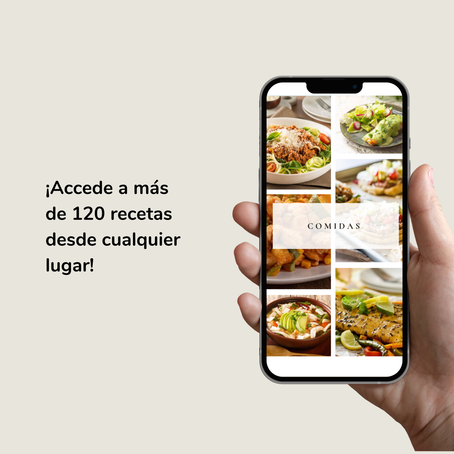 La Dieta para Niños con Trastorno del Espectro Autista - RECETARIO (eBook/libro electrónico)